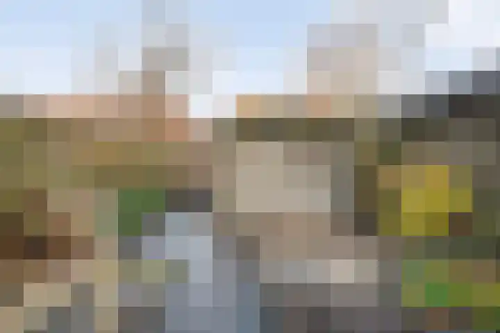 Van Sandickstraat 35 Dedemsvaart thumbnail 34