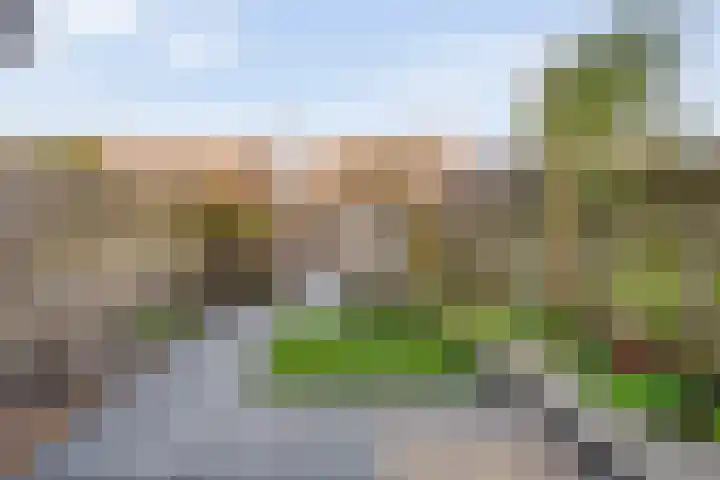 Van Sandickstraat 35 Dedemsvaart thumbnail 36