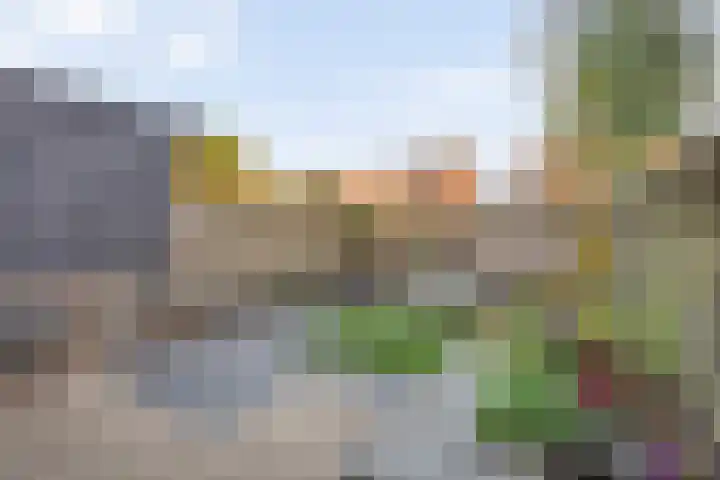 Van Sandickstraat 35 Dedemsvaart thumbnail 37