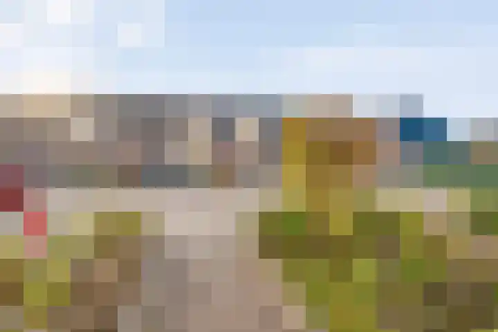 Van Sandickstraat 35 Dedemsvaart thumbnail 4