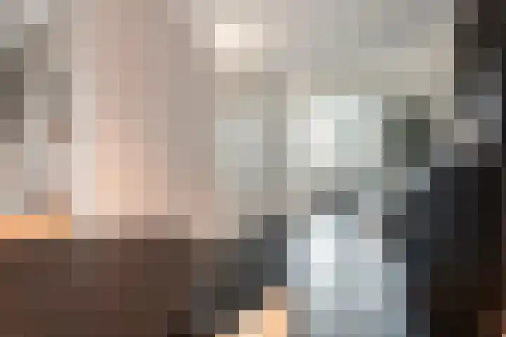 Van Sandickstraat 5 Dedemsvaart thumbnail 10