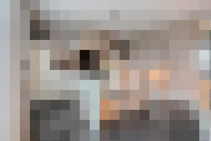 Van Sandickstraat 5 Dedemsvaart thumbnail 16