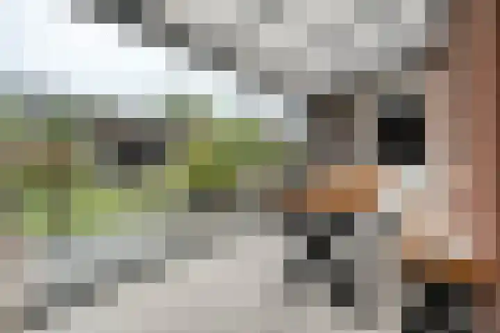 Van Sandickstraat 5 Dedemsvaart thumbnail 17