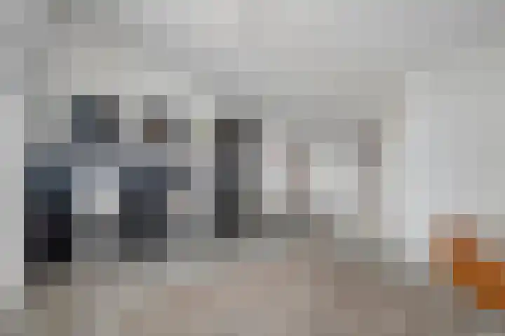 Van Sandickstraat 5 Dedemsvaart thumbnail 30