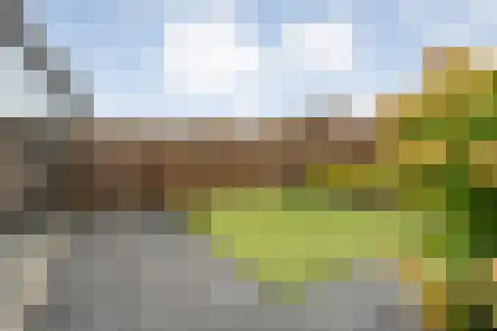 Van Sandickstraat 5 Dedemsvaart thumbnail 37