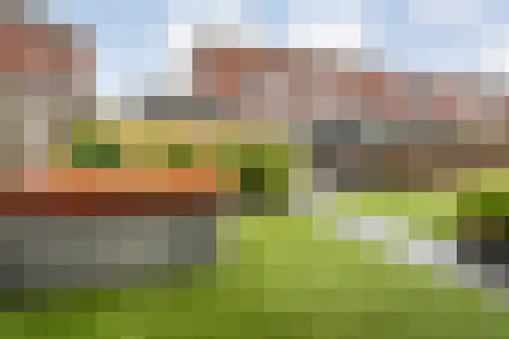 Van Sandickstraat 5 Dedemsvaart thumbnail 38