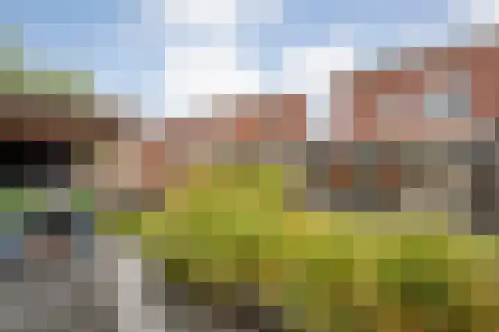 Van Sandickstraat 5 Dedemsvaart thumbnail 39