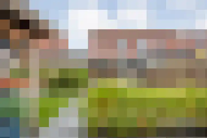 Van Sandickstraat 5 Dedemsvaart thumbnail 40