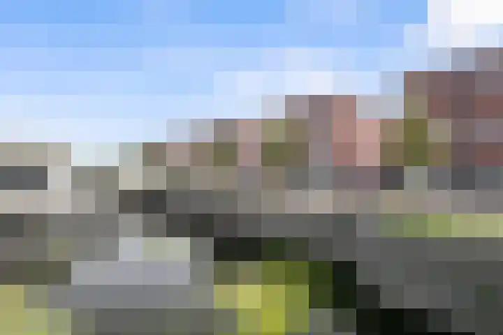 Van Sandickstraat 5 Dedemsvaart thumbnail 44