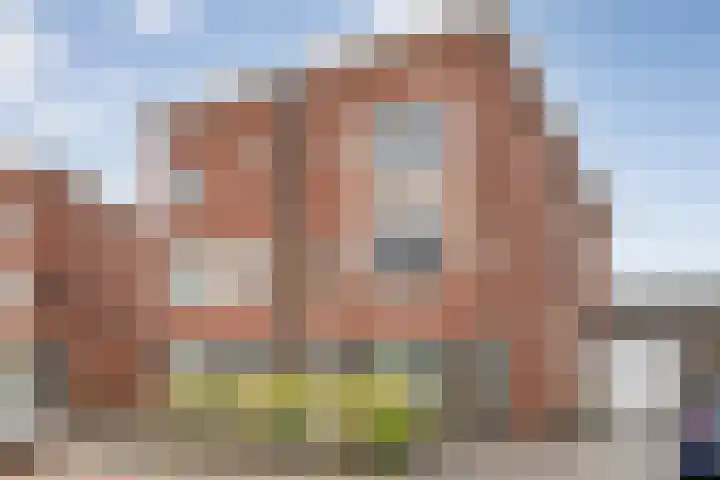 Van Sandickstraat 5 Dedemsvaart thumbnail 45