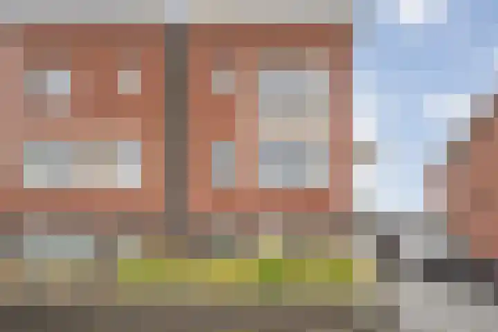 Van Sandickstraat 5 Dedemsvaart thumbnail 46