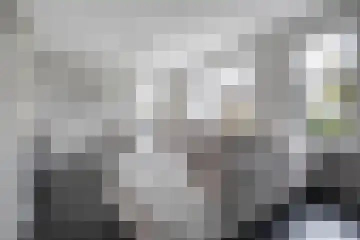 Van Sandickstraat 5 Dedemsvaart thumbnail 7