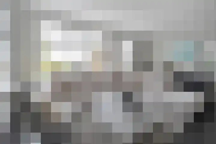Van Sandickstraat 5 Dedemsvaart thumbnail 9