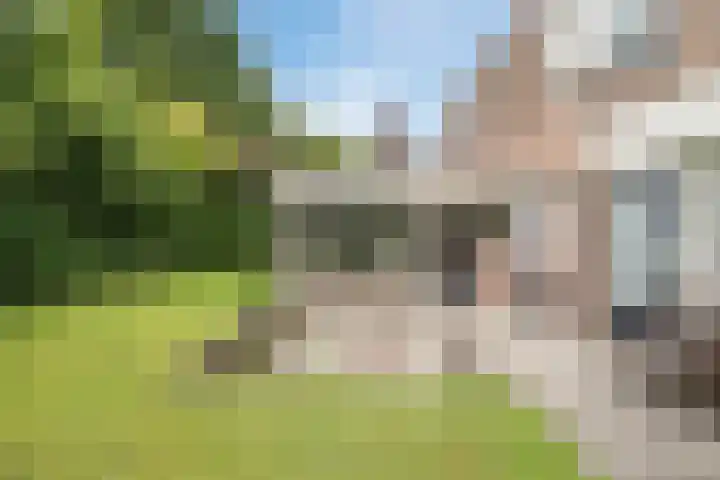 van Santenlaan 1 Heerhugowaard thumbnail 31