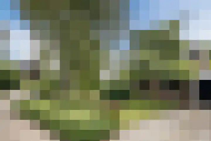 van Santenlaan 1 Heerhugowaard thumbnail 34