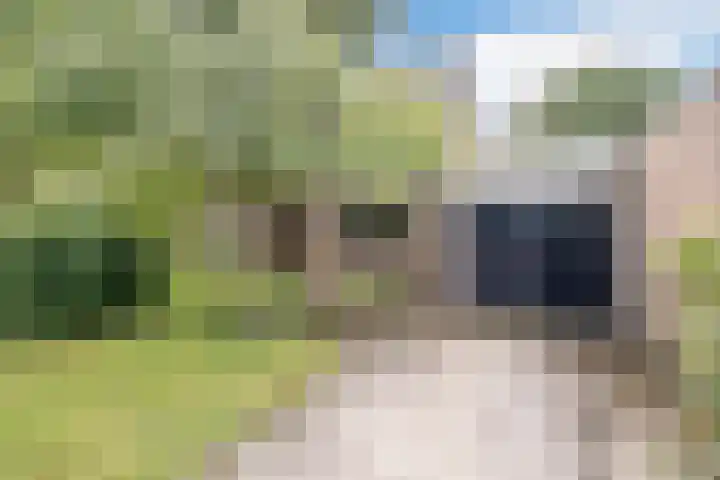 van Santenlaan 1 Heerhugowaard thumbnail 35