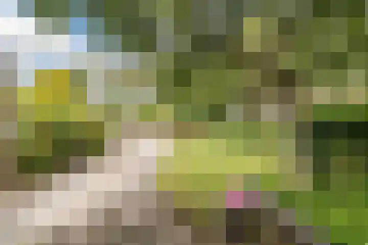 van Santenlaan 1 Heerhugowaard thumbnail 37