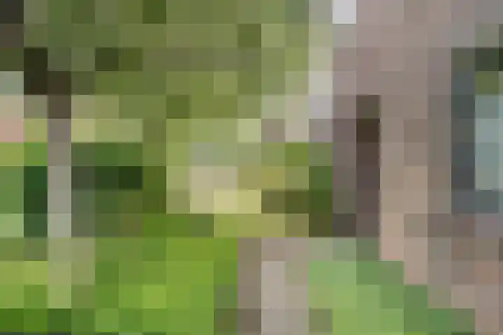 van Santenlaan 1 Heerhugowaard thumbnail 38