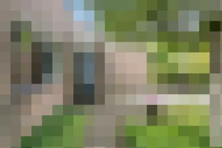 van Santenlaan 1 Heerhugowaard thumbnail 39