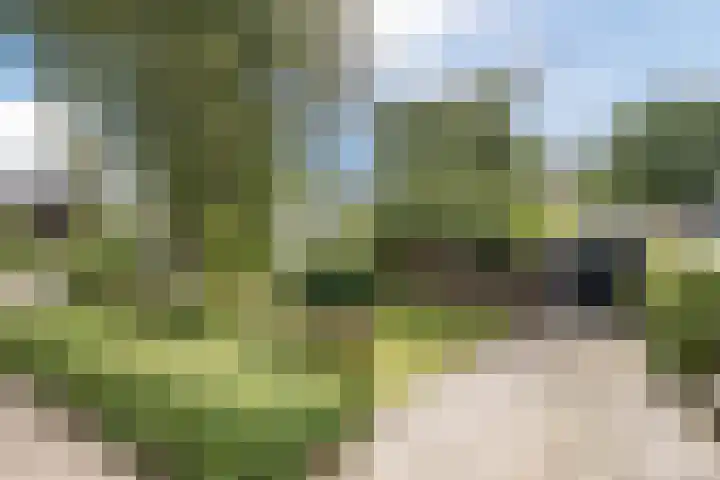 van Santenlaan 1 Heerhugowaard thumbnail 4