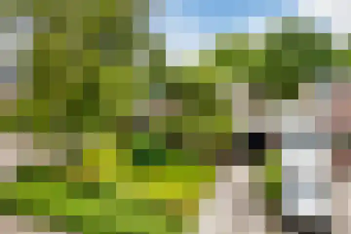 van Santenlaan 1 Heerhugowaard thumbnail 40