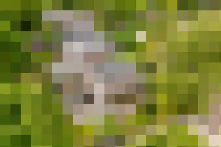 van Santenlaan 1 Heerhugowaard thumbnail 41