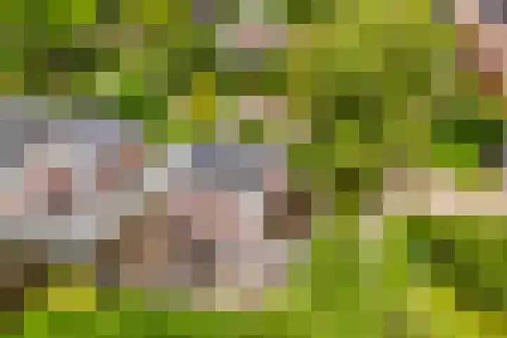 van Santenlaan 1 Heerhugowaard thumbnail 42