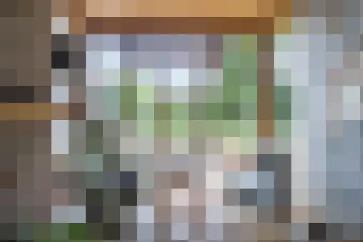 van Santenlaan 1 Heerhugowaard thumbnail 8