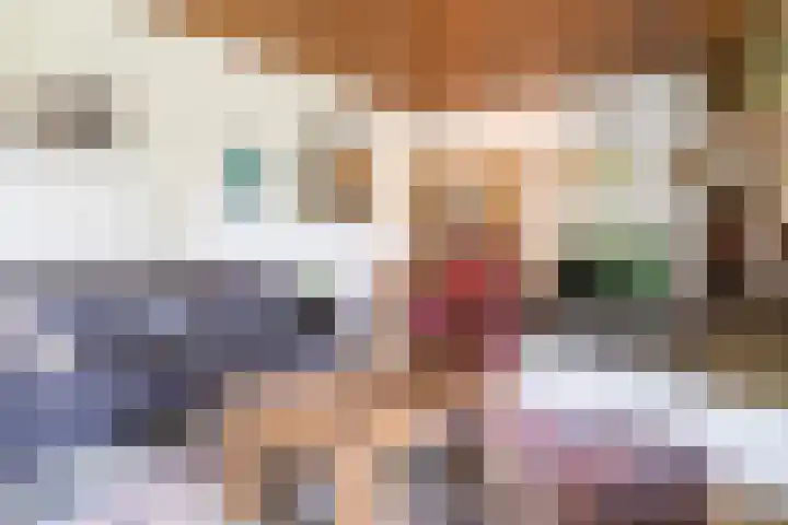 van Santenlaan 1 Heerhugowaard thumbnail 9