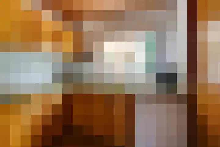 van Santenlaan 2 Heerhugowaard thumbnail 14