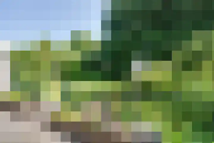 van Santenlaan 2 Heerhugowaard thumbnail 18