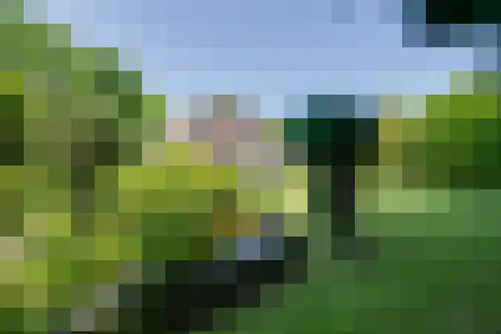 van Santenlaan 2 Heerhugowaard thumbnail 20