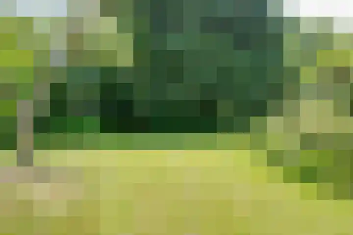van Santenlaan 2 Heerhugowaard thumbnail 21