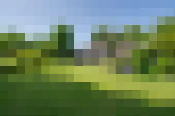 van Santenlaan 2 Heerhugowaard thumbnail 22