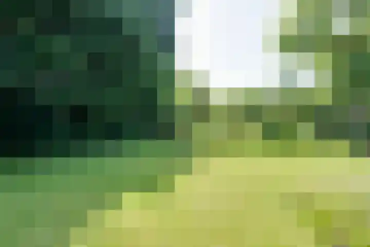 van Santenlaan 2 Heerhugowaard thumbnail 23