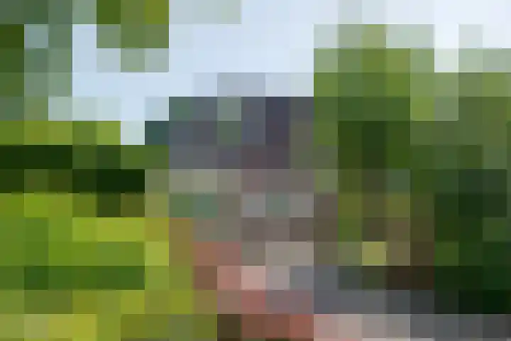 van Santenlaan 2 Heerhugowaard thumbnail 36