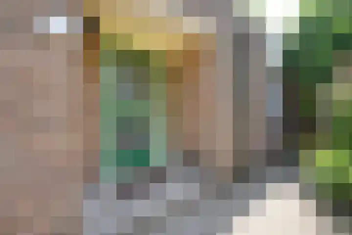 van Santenlaan 2 Heerhugowaard thumbnail 38