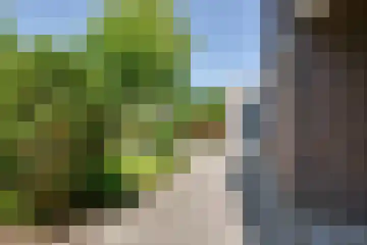 van Santenlaan 2 Heerhugowaard thumbnail 39