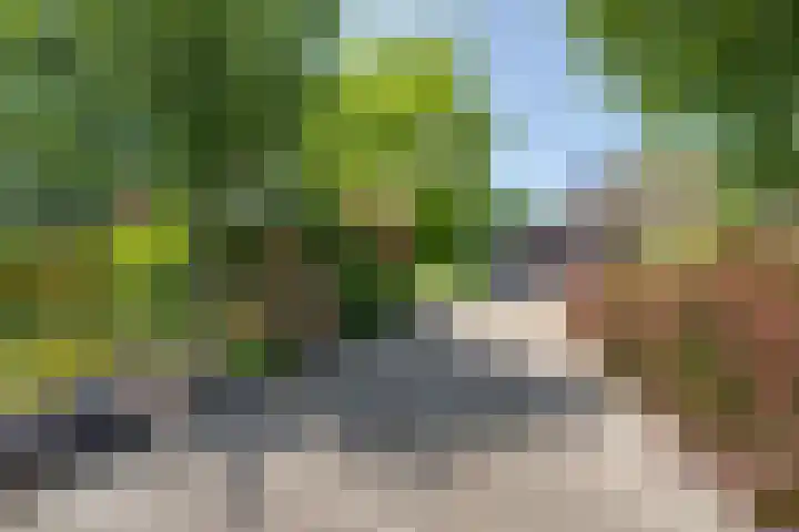 van Santenlaan 2 Heerhugowaard thumbnail 40