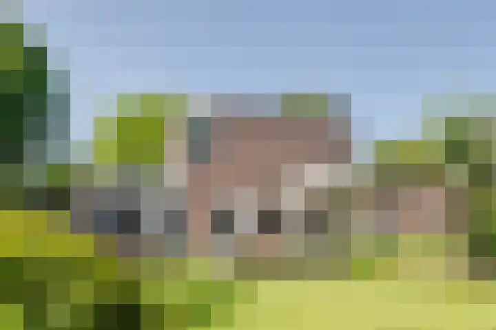 van Santenlaan 2 Heerhugowaard thumbnail 46