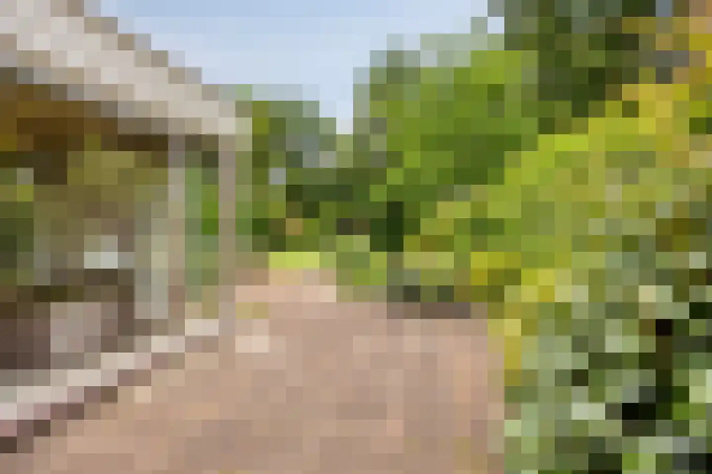 van Santenlaan 70 Heerhugowaard thumbnail 30