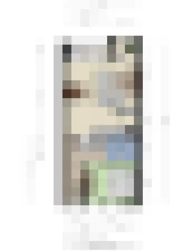 van Sasse van Ysseltstraat 10 a Boxmeer thumbnail 29