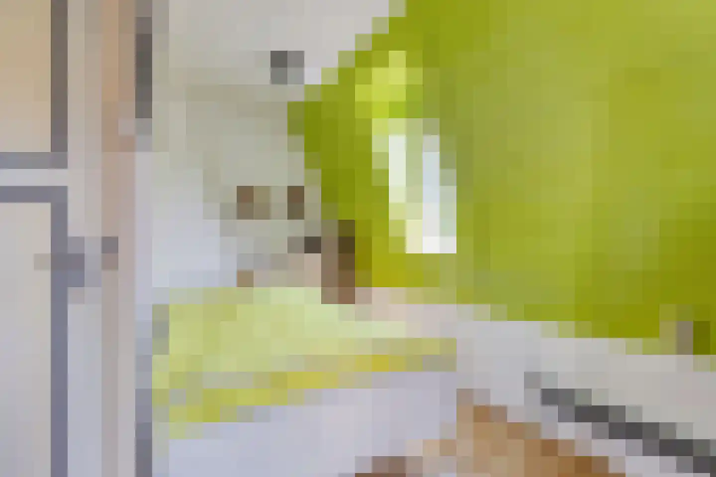 van Sasse van Ysseltstraat 52 Boxmeer thumbnail 16