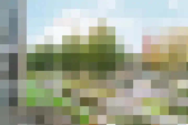van Schaeck Mathonsingel 47 Nijmegen thumbnail 14