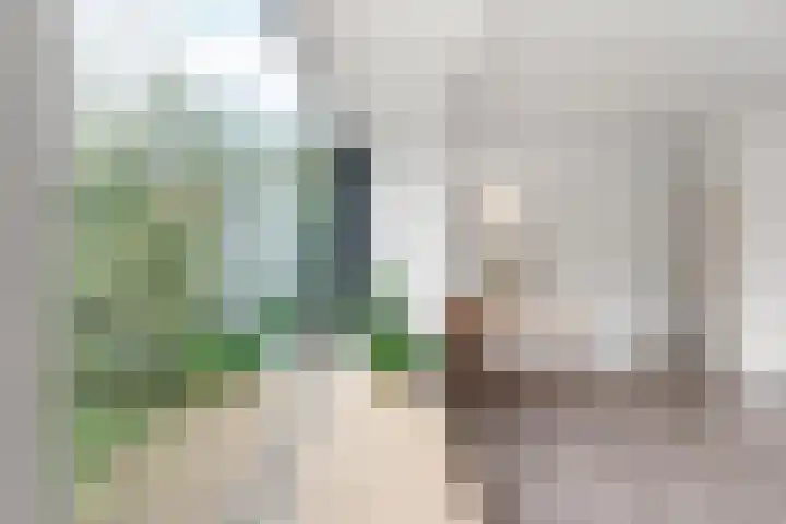 van Schaeck Mathonsingel 47 Nijmegen thumbnail 16