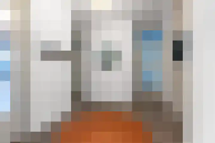 van Schaeck Mathonsingel 47 Nijmegen thumbnail 32
