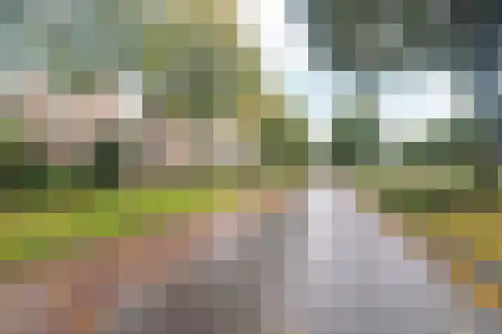 van Schaeck Mathonsingel 47 Nijmegen thumbnail 34