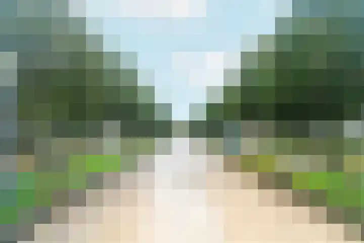 van Schaeck Mathonsingel 47 Nijmegen thumbnail 35
