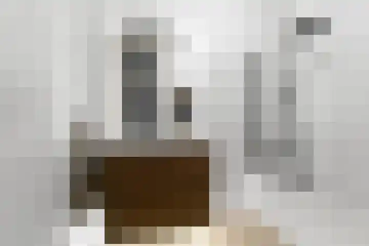 van Schaeck Mathonsingel 47 Nijmegen thumbnail 4