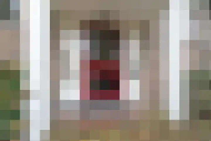 van Schaeck Mathonsingel 47 Nijmegen thumbnail 7